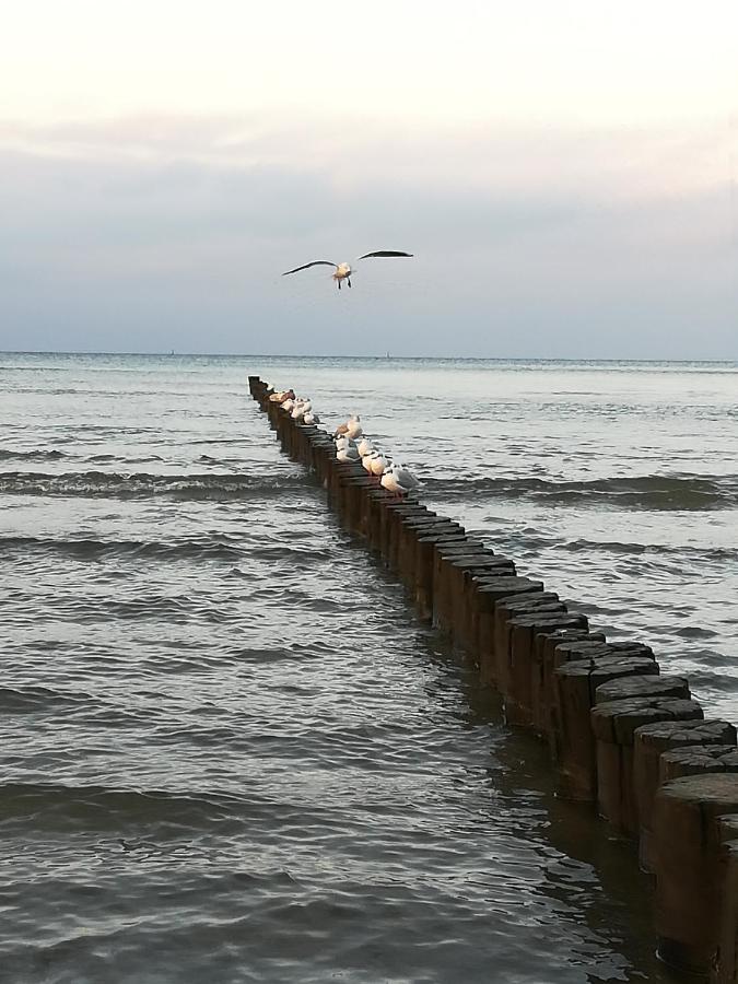Holiday home In Der Hansestadt Mit Blick Auf Ostsee Wismar